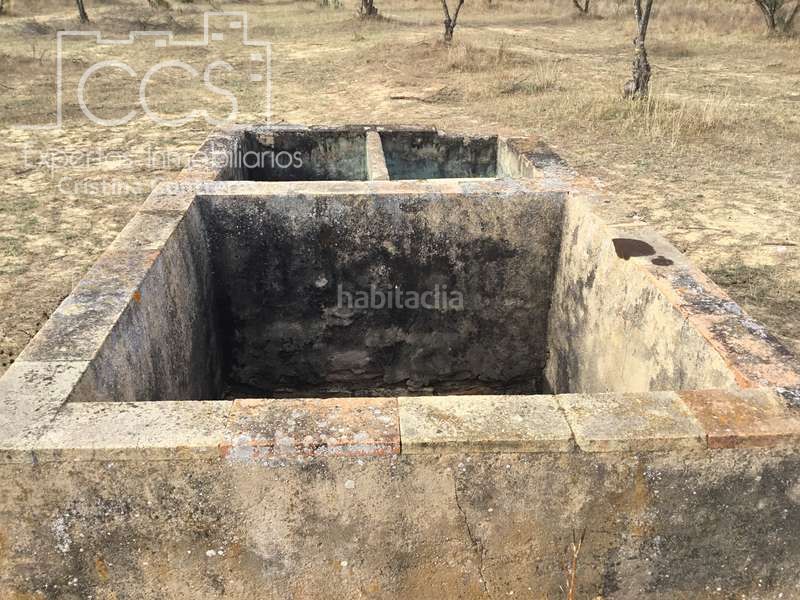 Foto e508cc34-1744-4d64-857e-b7c2935af5a6. Masia a Almonte Almonte