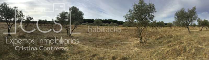 Foto f9568439-506b-4282-bd91-0323027925c8. Masia a Almonte Almonte