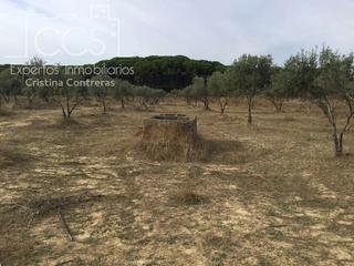 Masia a Almonte. Venta de finca en concesión de 9,800 ha con construcción en almo