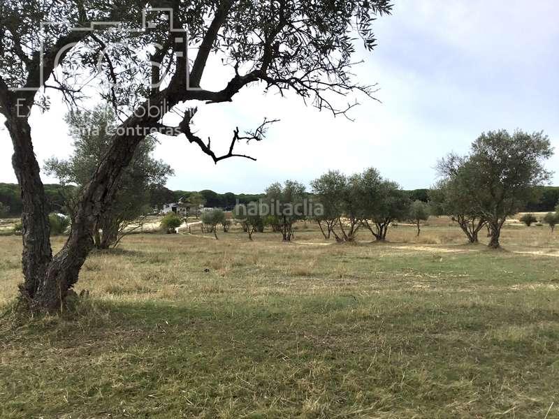 Foto 084f6b31-5315-4bf8-b45f-c47eb6de3302. Masía venta de finca en concesión de 9,800 ha con construcción . en Almonte