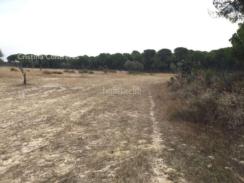 Foto 08aafe01-0fa6-495f-8d61-5f65219be6c9. Masía venta de finca en concesión de 9,800 ha con construcción . en Almonte