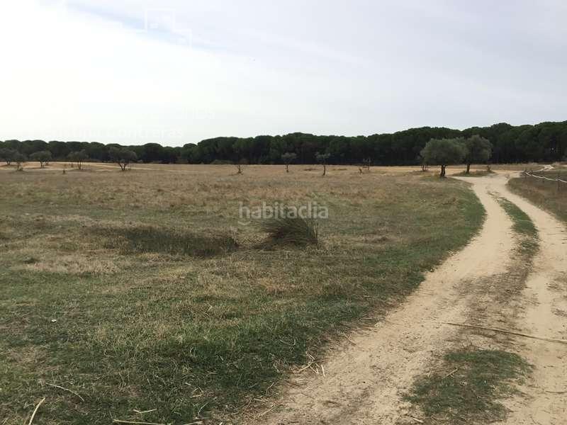 Foto 1ab7107c-e6d5-4e74-b051-d268bd208e5a. Masía venta de finca en concesión de 9,800 ha con construcción . en Almonte