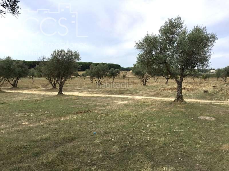 Foto 1d8866cb-865d-4c8c-bb00-2551ff3a5749. Masía venta de finca en concesión de 9,800 ha con construcción . en Almonte
