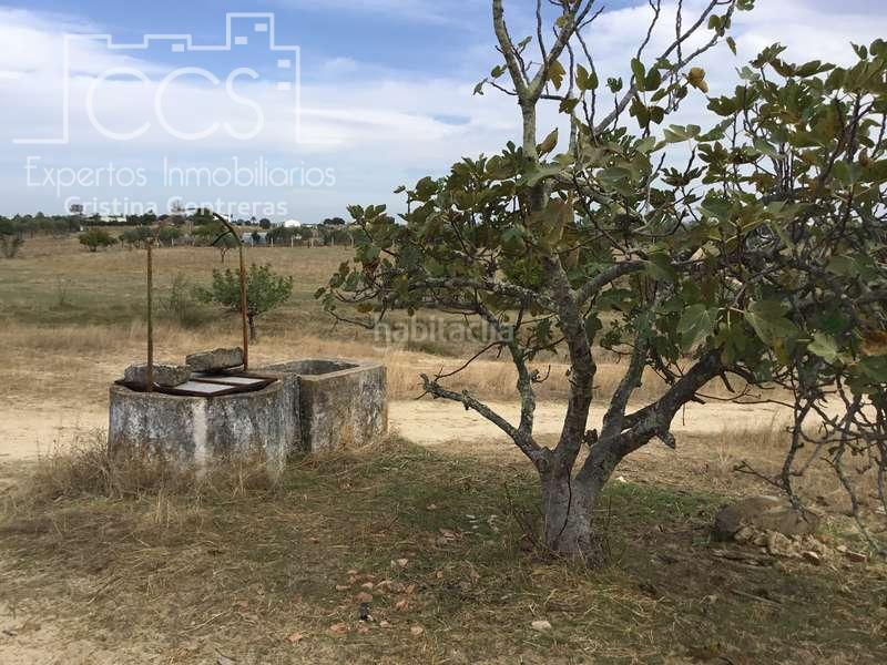 Foto 1df09cf3-473f-4c4b-8301-a3ac0e511587. Masía venta de finca en concesión de 9,800 ha con construcción . en Almonte