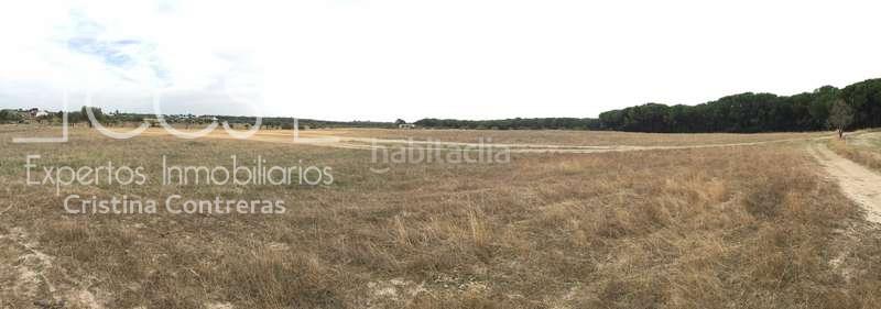 Foto 1f050fdd-3dd8-45a6-a52a-f6c45285fe4e. Masía venta de finca en concesión de 9,800 ha con construcción . en Almonte