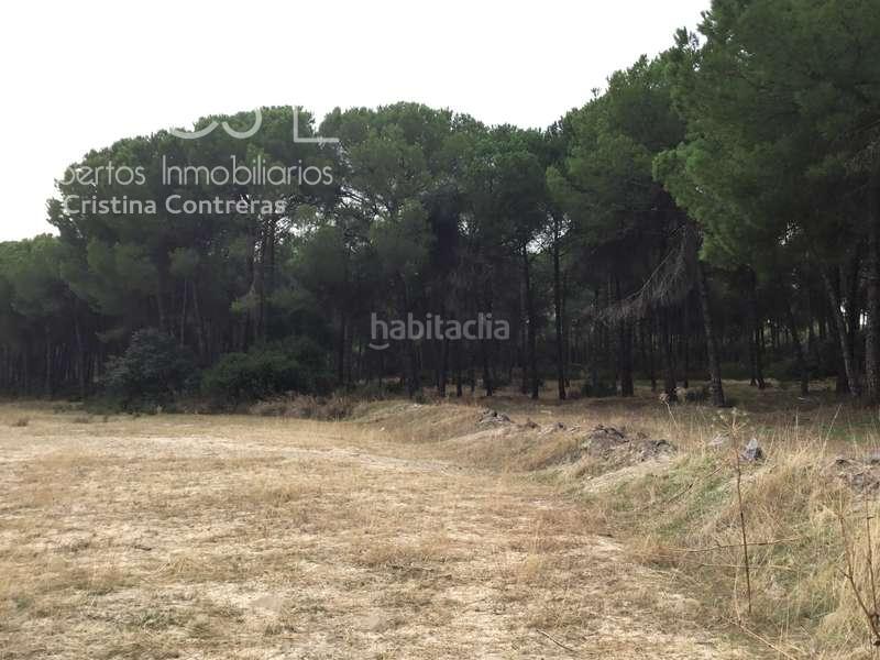 Foto 2121fcad-a1f6-4fcc-be3e-9bca9e6419ae. Masía venta de finca en concesión de 9,800 ha con construcción . en Almonte