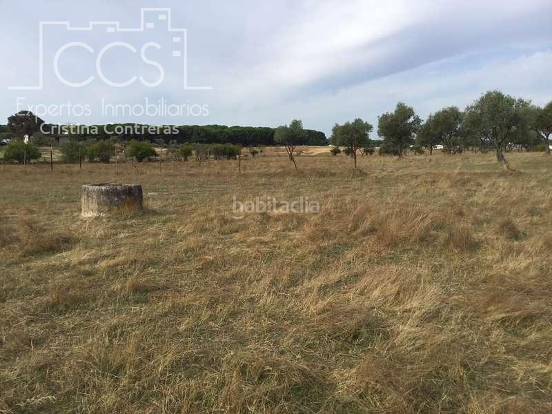 Foto 2e827fe8-dc83-4629-89a9-c6312d2706db. Masía venta de finca en concesión de 9,800 ha con construcción . en Almonte