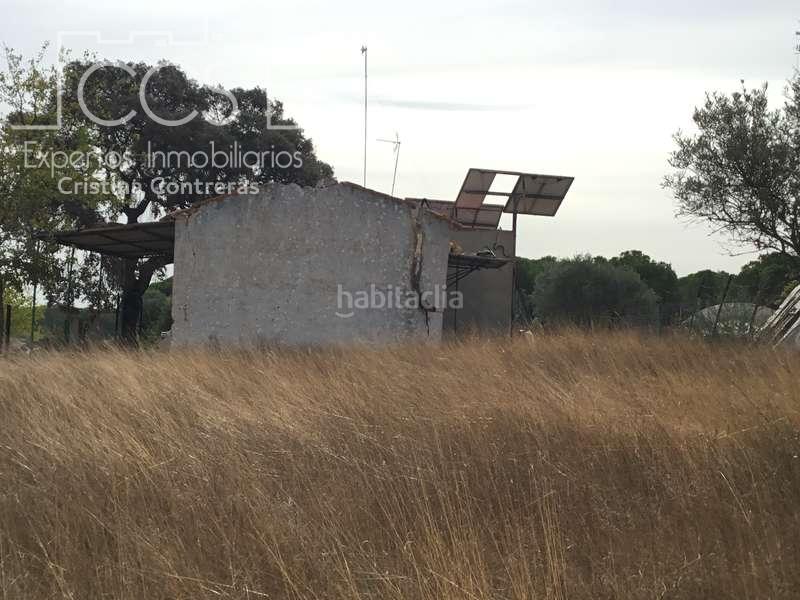 Foto 361e51e3-7339-4a8e-8a4c-017865a5035b. Masía venta de finca en concesión de 9,800 ha con construcción . en Almonte