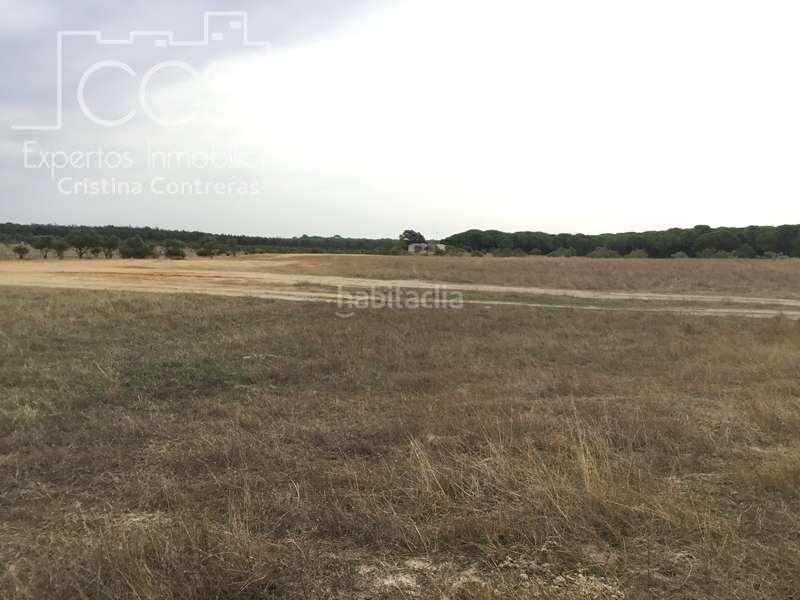 Foto 43b6ce05-bf23-4877-854a-b805ad2dba7b. Masía venta de finca en concesión de 9,800 ha con construcción . en Almonte