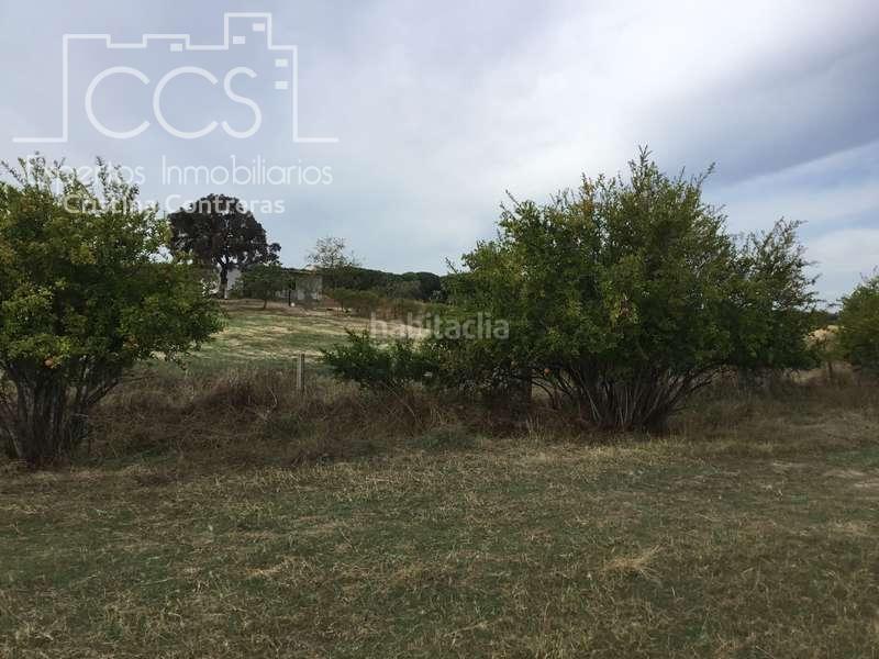 Foto 48659d65-768c-456e-b636-fcdf0114dc7f. Masía venta de finca en concesión de 9,800 ha con construcción . en Almonte