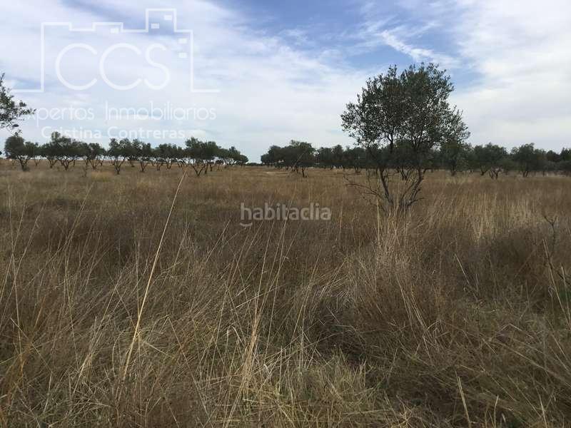 Foto 4a4a7b15-c996-4114-b1a2-f23cf30aef36. Masía venta de finca en concesión de 9,800 ha con construcción . en Almonte