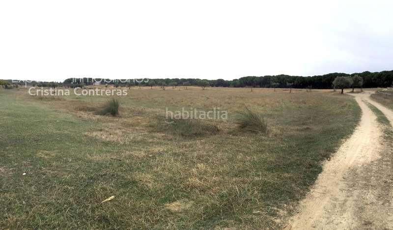 Foto 4e98efb0-7068-4f33-b52a-1ceee148ab20. Masía venta de finca en concesión de 9,800 ha con construcción . en Almonte