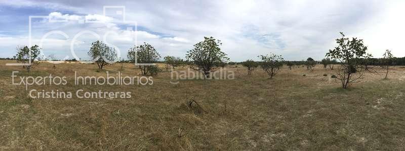 Foto 5e945bcb-5d2d-4b1c-ab22-8443b77bdd0a. Masía venta de finca en concesión de 9,800 ha con construcción . en Almonte