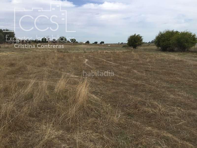 Foto 6c294a77-fb47-4d03-9a1f-88244124f646. Masía venta de finca en concesión de 9,800 ha con construcción . en Almonte