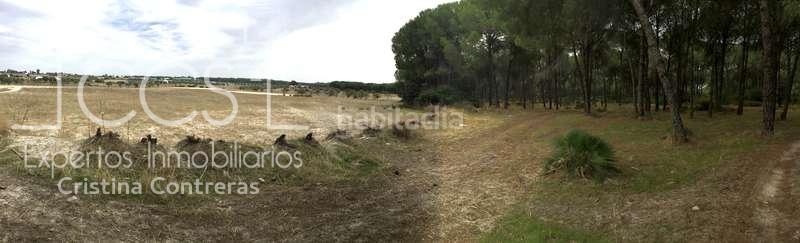 Foto 6d7f46d8-b2eb-4024-a235-f8d36f17a6d9. Masía venta de finca en concesión de 9,800 ha con construcción . en Almonte