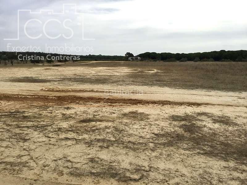 Foto 6df38e52-1a3d-4322-8d1d-857d07417b32. Masía venta de finca en concesión de 9,800 ha con construcción . en Almonte