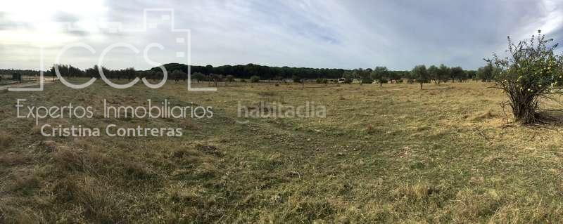 Foto 72b1383b-843b-445c-95c1-4a18fc7629de. Masía venta de finca en concesión de 9,800 ha con construcción . en Almonte