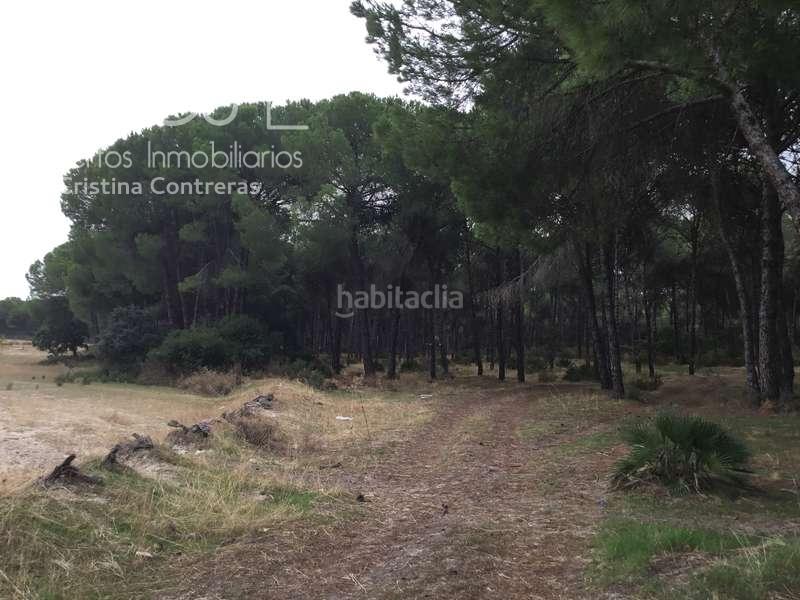 Foto 93d3739d-151e-4e8c-ab79-8aee8b58beba. Masía venta de finca en concesión de 9,800 ha con construcción . en Almonte