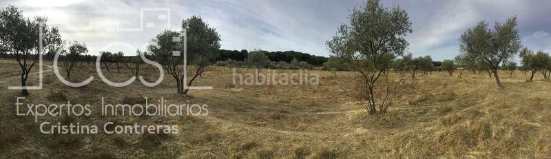 Foto 9ae966a4-60f3-4cd1-ac8c-e240e072d5ac. Masía venta de finca en concesión de 9,800 ha con construcción . en Almonte