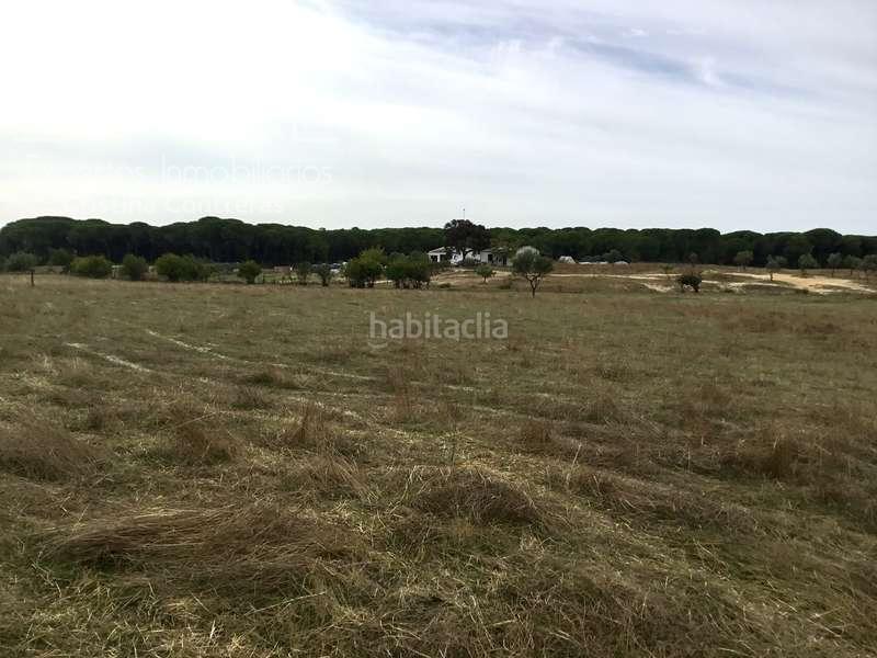 Foto a3ebe724-a7ce-4bf0-80ab-5383bea58ad8. Masía venta de finca en concesión de 9,800 ha con construcción . en Almonte