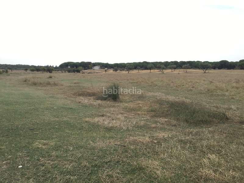 Foto add7a5b8-ff05-46b1-bde3-1789a6531ea3. Masía venta de finca en concesión de 9,800 ha con construcción . en Almonte