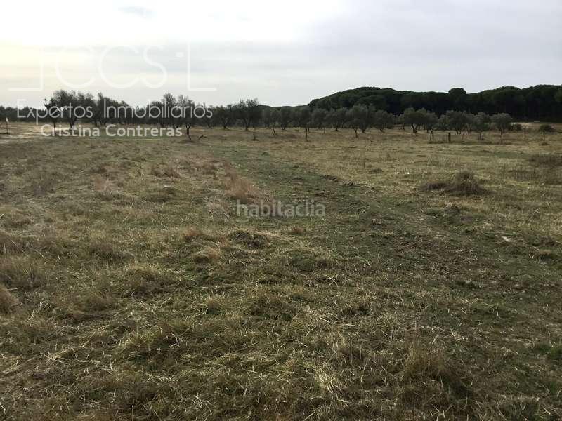 Foto aeb1cf4e-2940-4e3b-ad63-1394e309fc4b. Masía venta de finca en concesión de 9,800 ha con construcción . en Almonte
