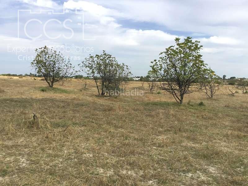 Foto b54d727e-1b3b-4eaa-a7d3-8092a79c6745. Masía venta de finca en concesión de 9,800 ha con construcción . en Almonte