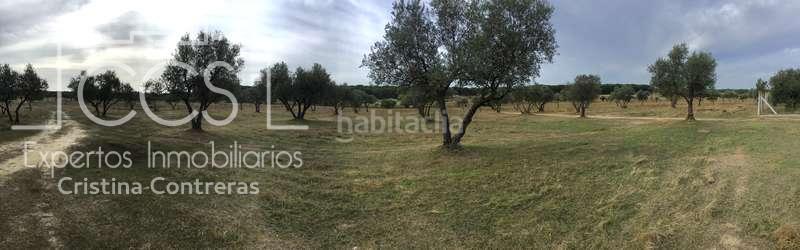 Foto c596f058-9221-459d-a9b2-ce017284c694. Masía venta de finca en concesión de 9,800 ha con construcción . en Almonte