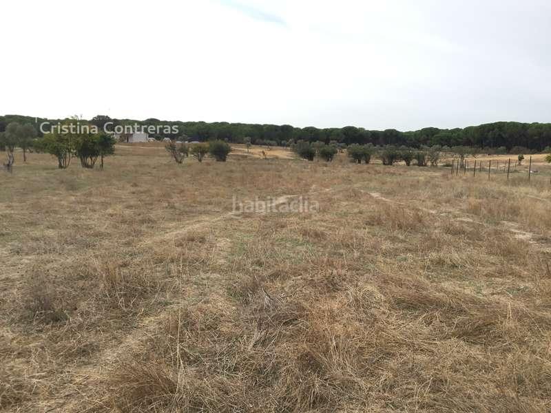 Foto d23d24bd-1b3d-4c8c-9d34-3bb54fe37d1a. Masía venta de finca en concesión de 9,800 ha con construcción . en Almonte
