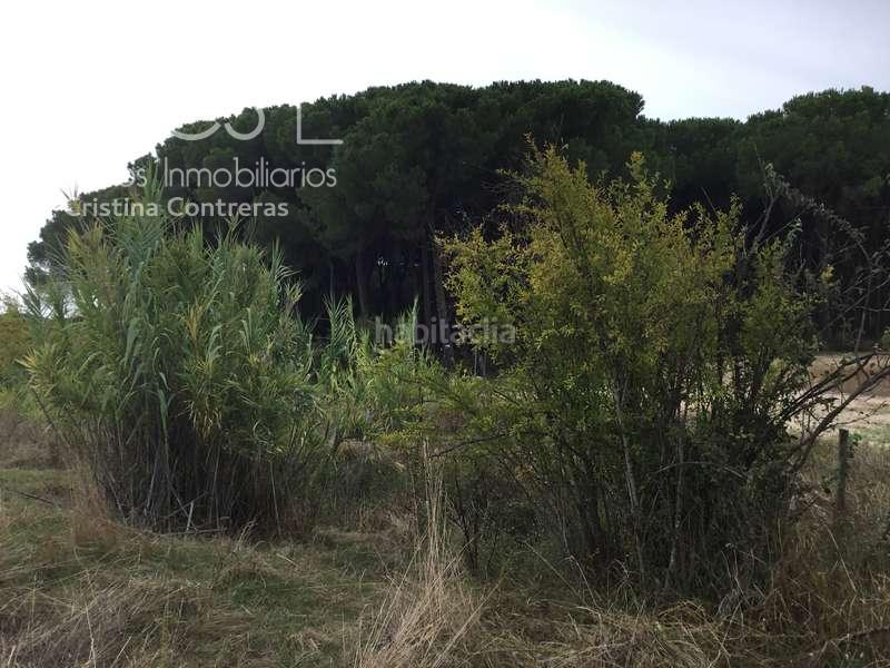 Foto e95ce507-a332-4ff9-8572-8d3ec57dccfc. Masía venta de finca en concesión de 9,800 ha con construcción . en Almonte