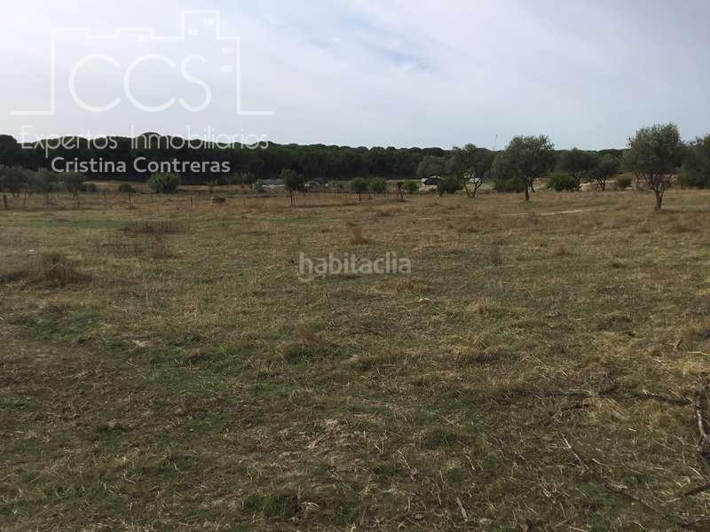 Foto f357a6a9-4f58-42a8-b1d4-20600fa8c276. Masía venta de finca en concesión de 9,800 ha con construcción . en Almonte