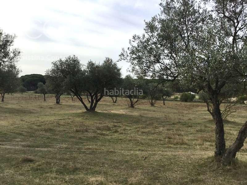 Foto f48fce9e-06d0-48cd-8af9-956f5ddd2fbe. Masía venta de finca en concesión de 9,800 ha con construcción . en Almonte