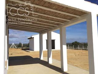 Masia a Almonte. Venta de finca en propiedad de 3 ha de eucaliptus y tierra calma