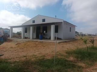 Mas à Almonte. Venta de finca en concesión de 7.000m2 de terreno con caseta de