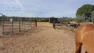 Location Mas à Almonte. Alquiler de finca en propiedad  con 19.535m2 de terreno y  nave