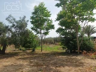 Mas en Almonte. Venta de finca en concesin de 5.000m2 de terreno y caseta de ap