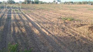 Finca rústica a Almonte. Venta de finca en concesión  de 9.799,88m2 de terreno en almonte