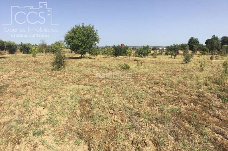 Foto 2018c8db-91b0-4684-83ba-9b8a28e848b5. Finca rústica a Almonte Almonte
