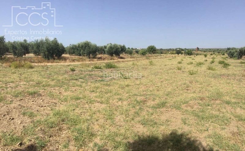 Foto a9c9bcc7-6c4a-469a-b3e7-ddca7431c1c4. Finca rústica a Almonte Almonte