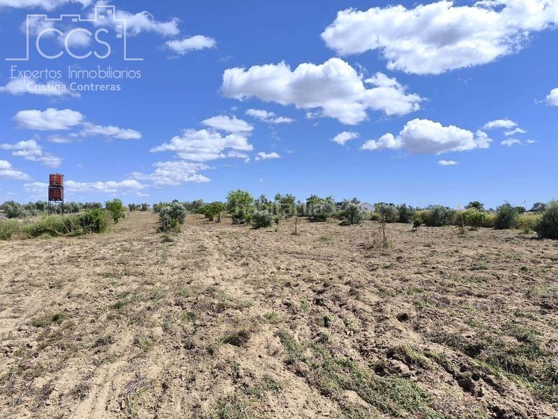 Foto aa81e0e9-a286-4a79-8f9c-5947a5b5ea3e. Finca rústica a Almonte Almonte
