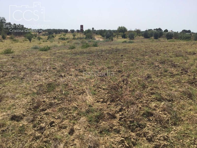 Foto ced6ff82-c3a9-42fc-ad9e-9d9e054934b8. Finca rústica a Almonte Almonte
