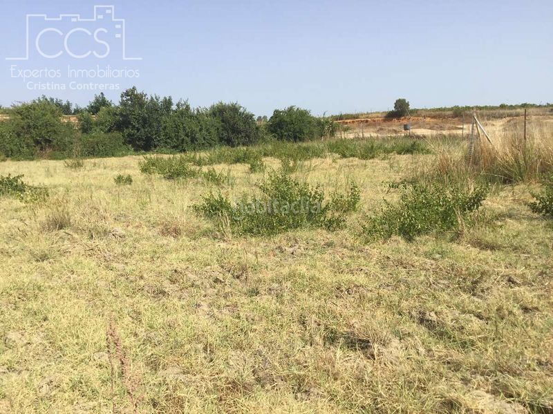 Foto d4c31e36-9d94-4fc1-9115-ed104e82e185. Finca rústica a Almonte Almonte