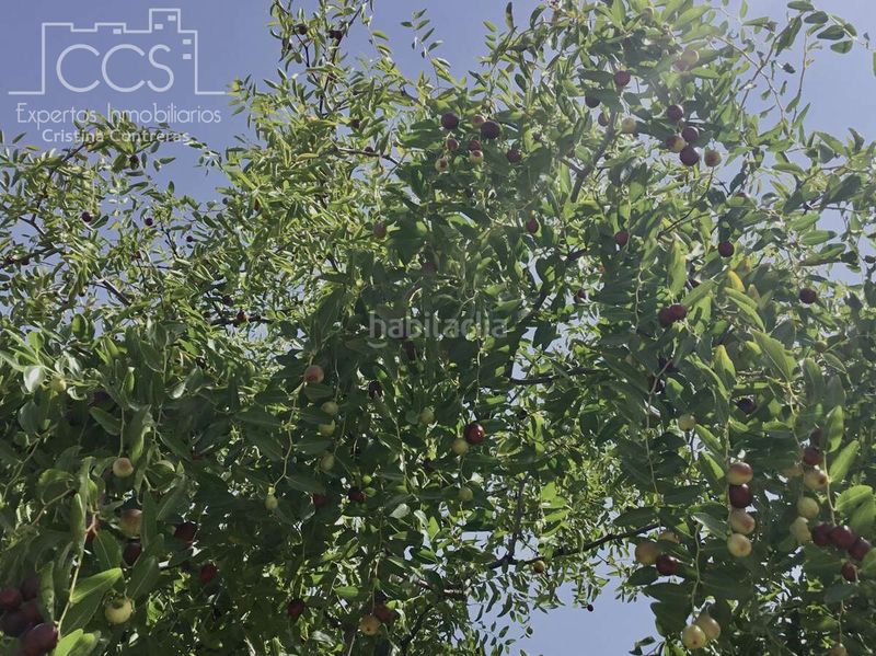 Foto f102a1f5-33dc-43de-bb00-f9163f50d36c. Finca rústica a Almonte Almonte