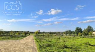 Finca rústica a Almonte. Venta de finca rural en concesión con una superficie de 15.900 m