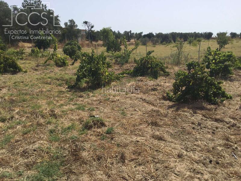 Foto 0c50b6b1-4c4d-4a15-b147-02d2b276c79a. Propriété dans Almonte Almonte