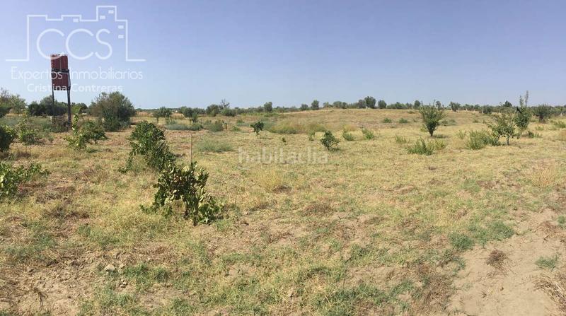 Foto 10a9770f-cacb-4fc4-b4f5-e8dd09616adb. Propriété dans Almonte Almonte