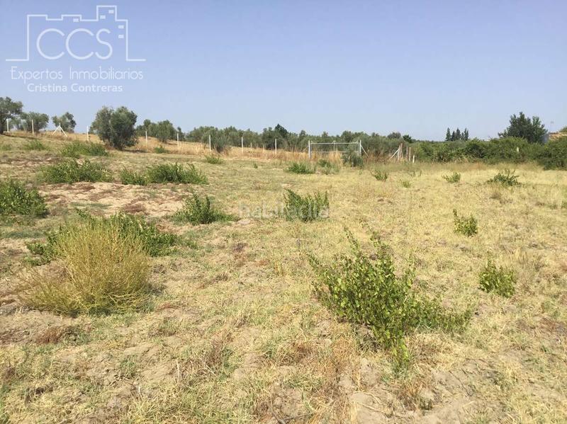 Foto 27aa2951-8f00-401c-bcf8-7911df8ec107. Propriété dans Almonte Almonte