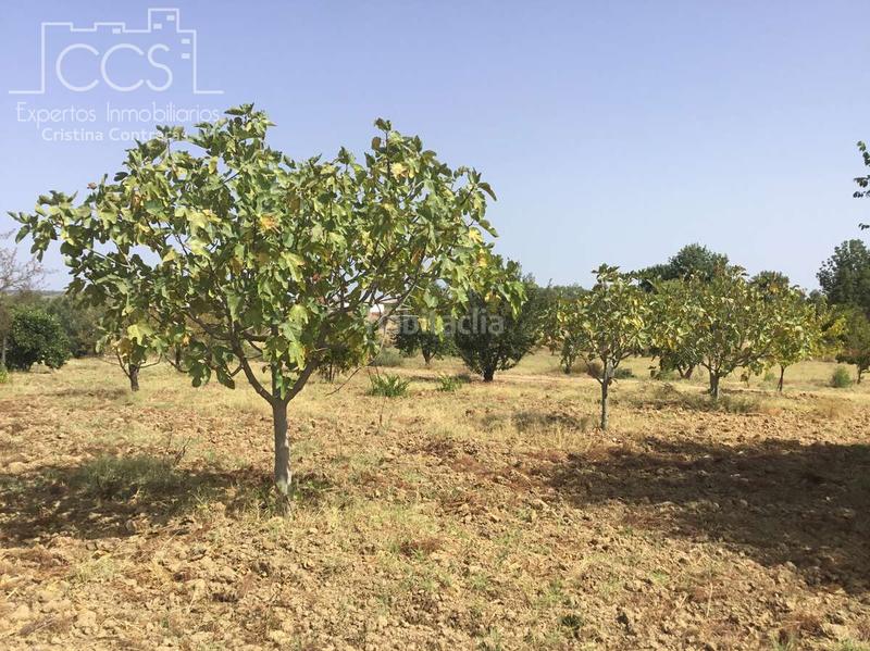 Foto 5efd8057-8b76-4e87-80d5-e6593151bb84. Propriété dans Almonte Almonte