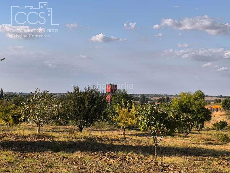 Foto 77062ef4-fc6c-45c5-b78e-304654ff67fb. Propriété dans Almonte Almonte