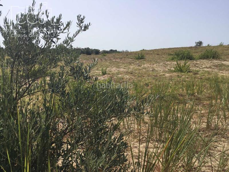 Foto 7fafa3e3-f68e-4ef3-90d2-ece01c663cb0. Propriété dans Almonte Almonte